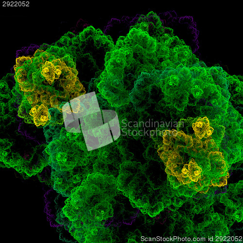 Image of Symmetrical growth of bacteria