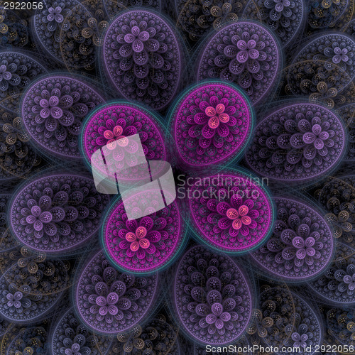 Image of Symmetrical growth of bacteria