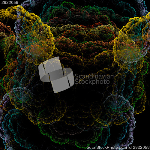 Image of Symmetrical growth of bacteria