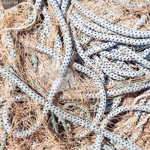 Image of Fishing net