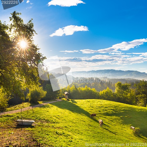 Image of Idyllic countryside site, Alps, Slovenia, Europe.