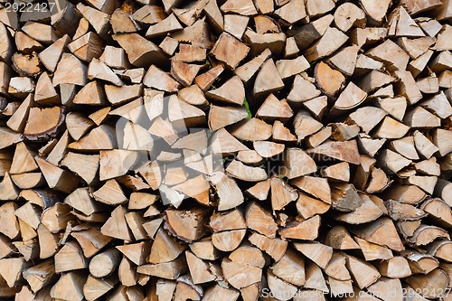 Image of Dry chopped firewood logs.