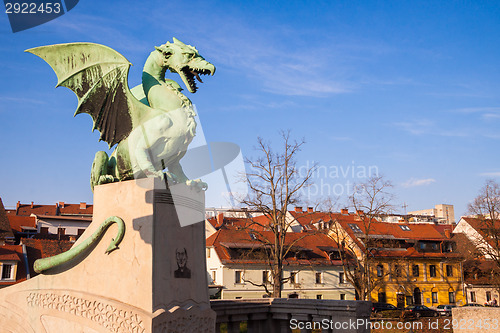 Image of Famous Dragon bridge in Ljubljana
