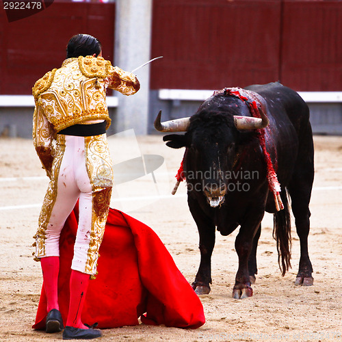 Image of Traditional corrida - bullfighting in spain