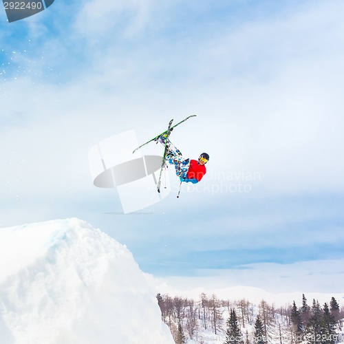 Image of Free style skier.