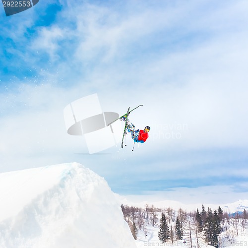 Image of Free style skier.