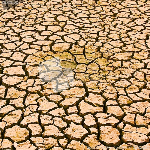 Image of Drought