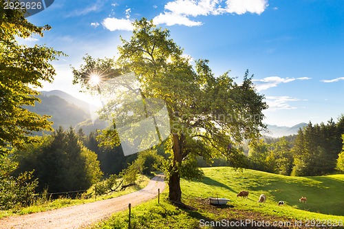 Image of Idyllic countryside site, Alps, Slovenia, Europe.