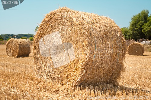 Image of Harvested field with straw bales in summer