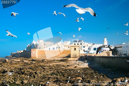 Image of Panoramic view of Essaouira, Morocco, north Africa.