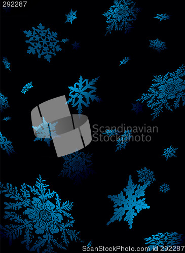 Image of snowflake fall