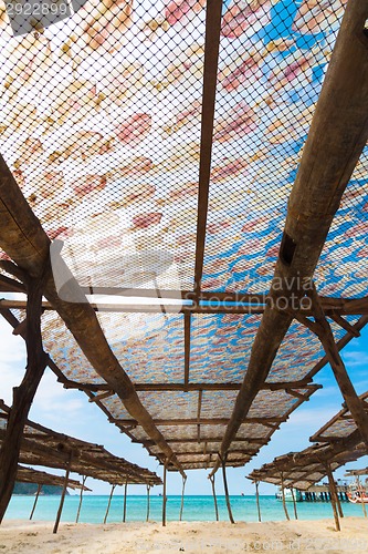 Image of Traditional squids drying in the sun.