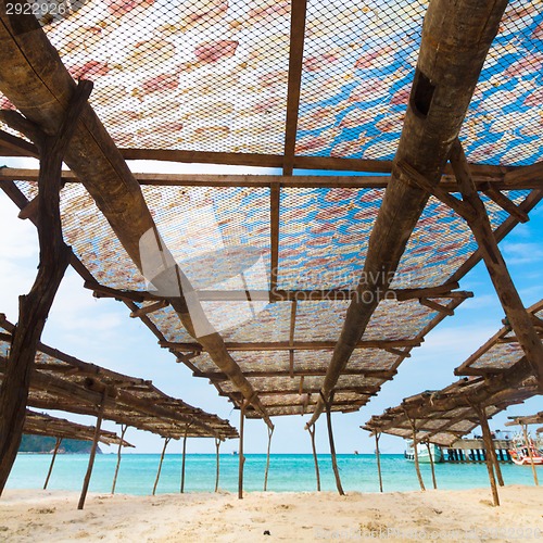 Image of Traditional squids drying in the sun.