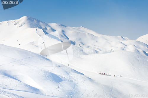 Image of Group of touring skiers.