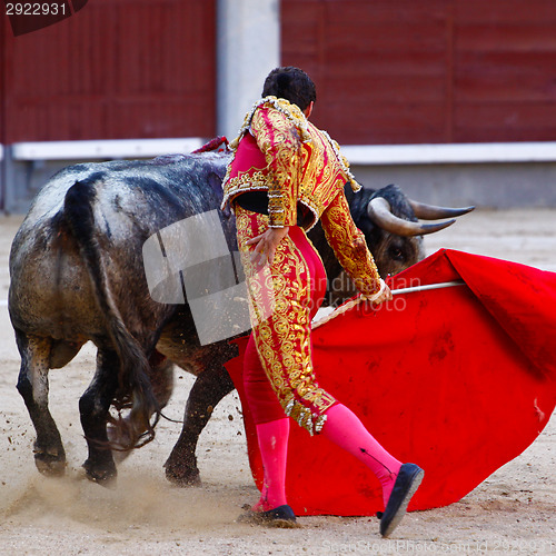 Image of Traditional corrida - bullfighting in spain