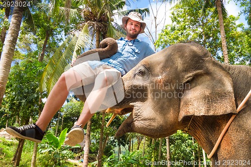 Image of Elephan lifting a tourist.