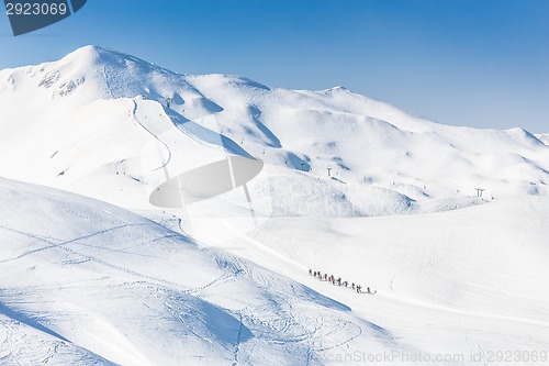 Image of Group of touring skiers.