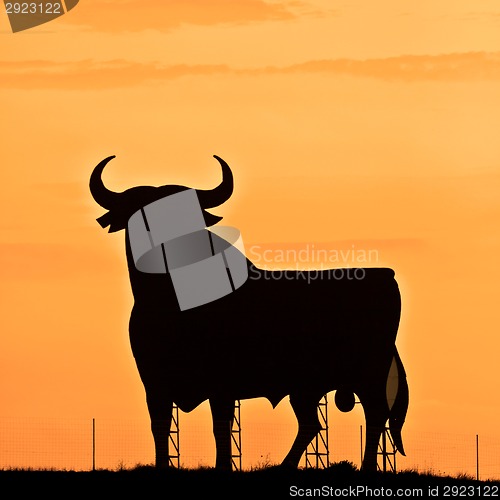 Image of Spain,silhouette of a bull.