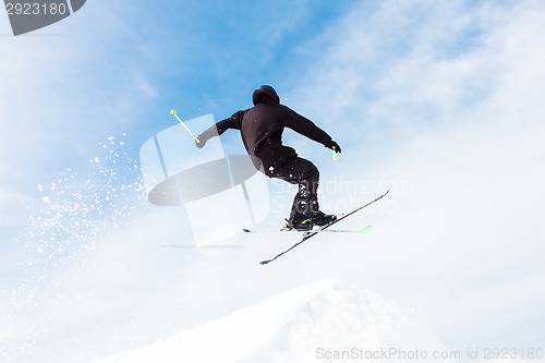 Image of Free style skier.