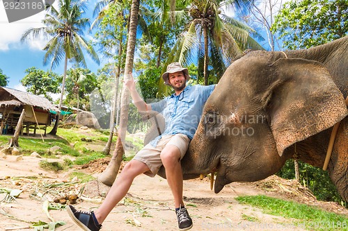 Image of Elephan lifting a tourist.