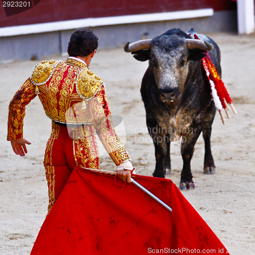 Image of Traditional corrida - bullfighting in spain