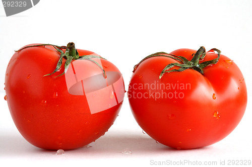 Image of Two fresh tomatoes