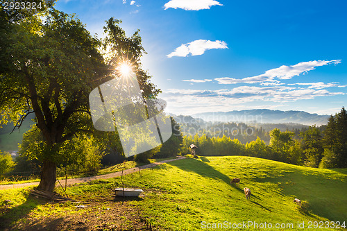 Image of Idyllic countryside site, Alps, Slovenia, Europe.