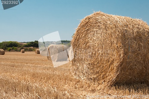 Image of Harvested field with straw bales in summer