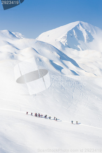 Image of Group of touring skiers.