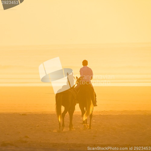 Image of Horse riding on the beach at sunset.