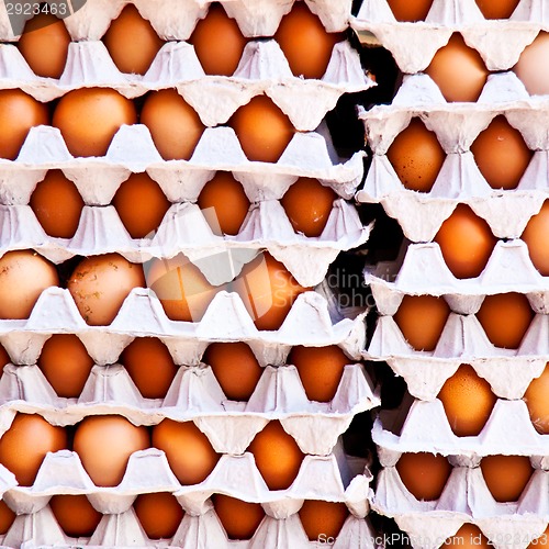 Image of Eggs