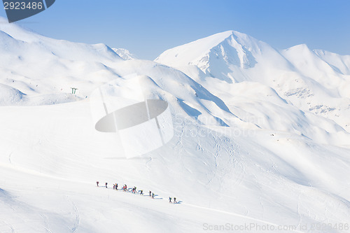 Image of Group of touring skiers.