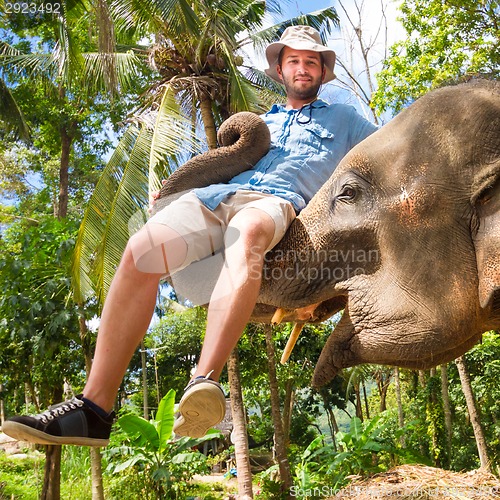 Image of Elephan lifting a tourist.