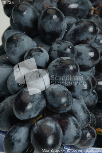 Image of black grapes close
