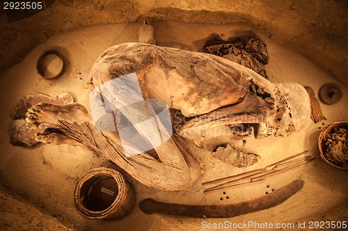 Image of Egyptian mummy