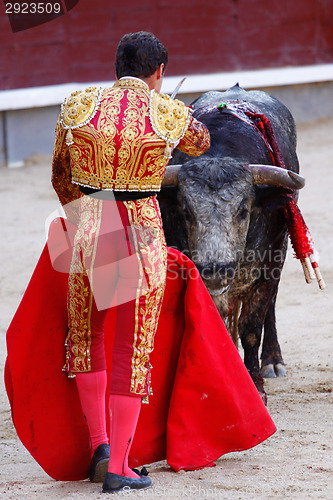 Image of Traditional corrida - bullfighting in spain