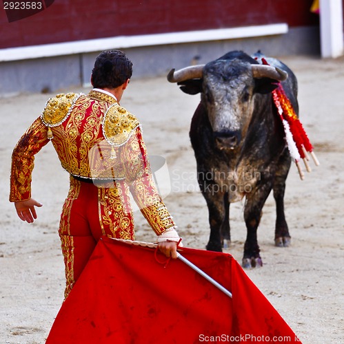 Image of Traditional corrida - bullfighting in spain