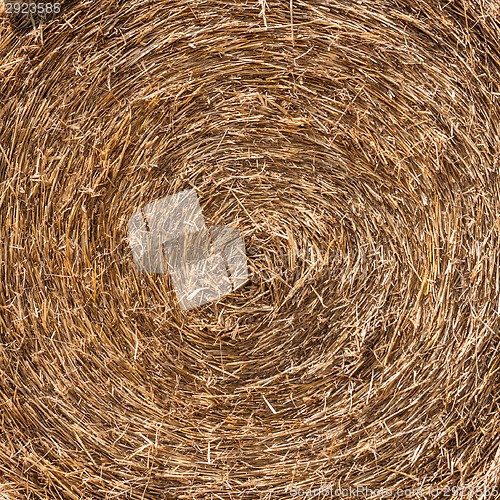 Image of Close up of the straw bale.