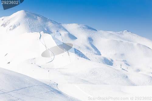 Image of Group of touring skiers.