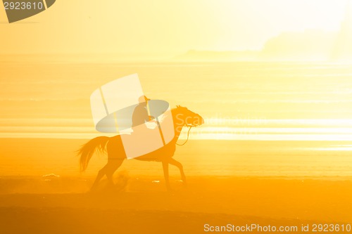 Image of Horse riding on the beach at sunset.