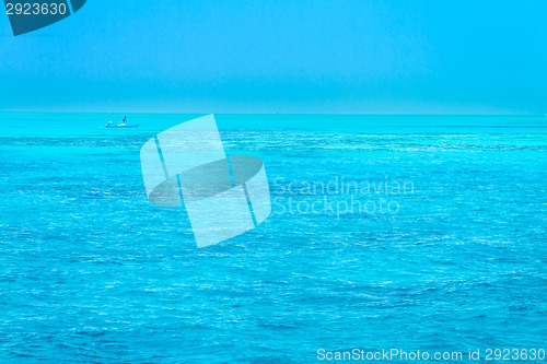 Image of Turquoise coral reef