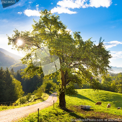 Image of Idyllic countryside site, Alps, Slovenia, Europe.