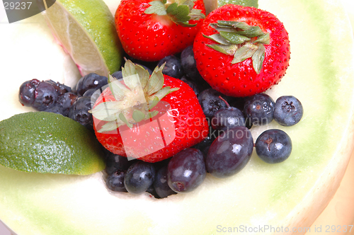 Image of honeydew with fruit