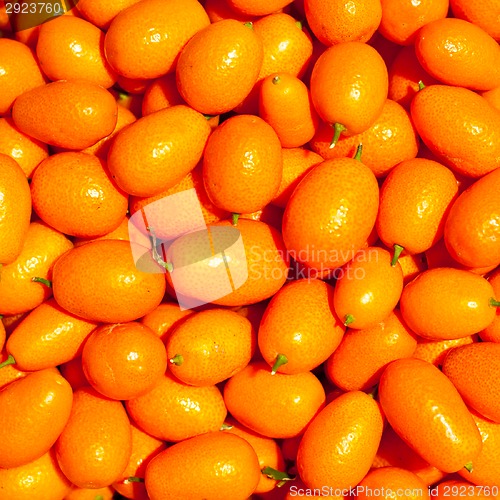 Image of Genetically modified mandarins