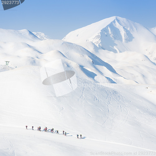 Image of Group of touring skiers.