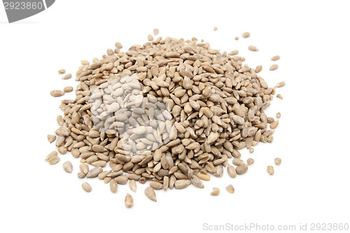 Image of Hulled sunflower seeds