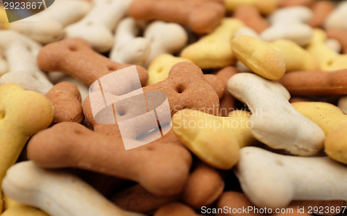 Image of Close-up of dried dog food 