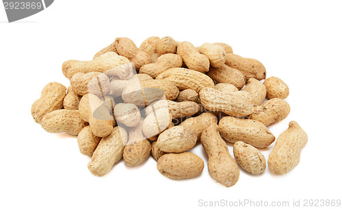 Image of Monkey nuts in shells