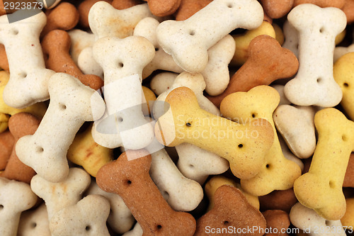 Image of Heap of dried dog food biscuits 