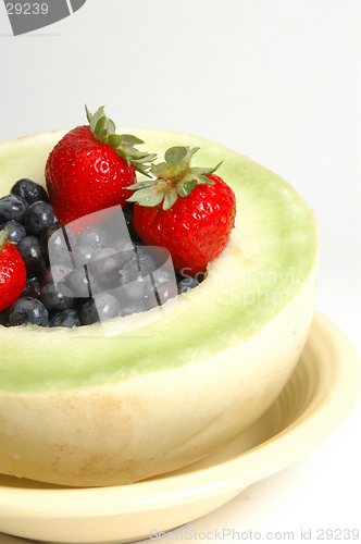 Image of honeydew with fruit 3